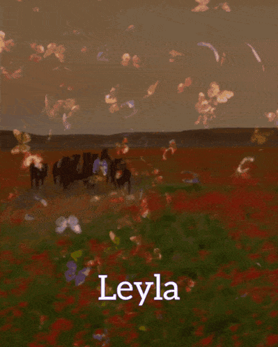 Leyla GIF - Leyla GIFs