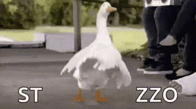 a white goose is standing on its hind legs in front of people sitting on benches .