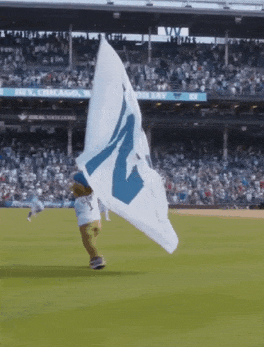 Chicago Cubs Clark The Cub GIF - Chicago Cubs Cubs Clark The Cub GIFs