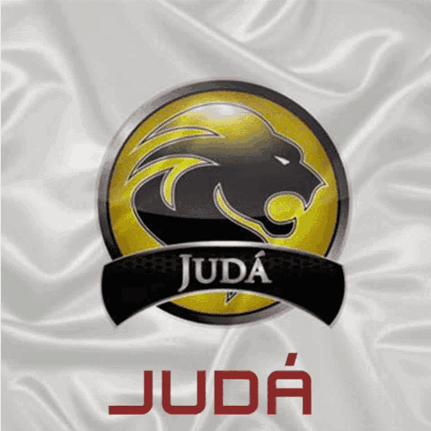 a logo for juda with a black lion in a gold circle