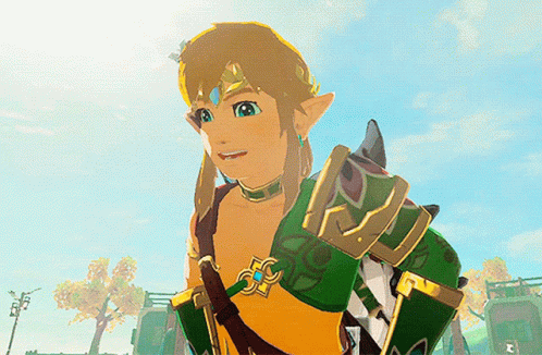 Legend Of Zelda Breath Of The Wild GIF - Legend Of Zelda Breath Of The Wild Fabulous GIFs