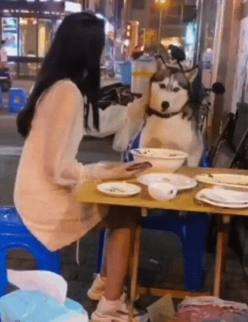 a woman is sitting at a table with a husky dog