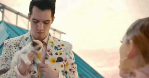 Here You Go Handing Over Kitty GIF - Here You Go Handing Over Kitty Cat GIFs