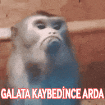 Arda Galata Kaybedi̇nce Arda GIF - Arda Galata Kaybedi̇nce Arda Galatasaray GIFs