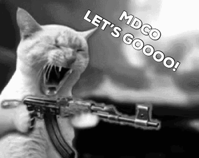 a black and white photo of a cat holding a gun and saying let 's goooo !