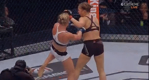 Ko Knock Out GIF - Ko Knock Out Punch GIFs