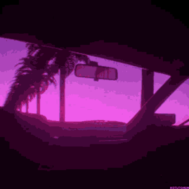 the inside of a car with a pink sky and palm trees in the background .