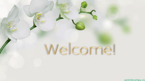 Welcome Memes GIF - Welcome Memes Reactions GIFs