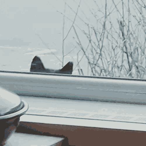 a bowl sits on a window sill with a cat looking out of the window