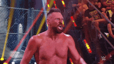 a shirtless wrestler stands in front of a crowd with a t-shirt that says triple h on it