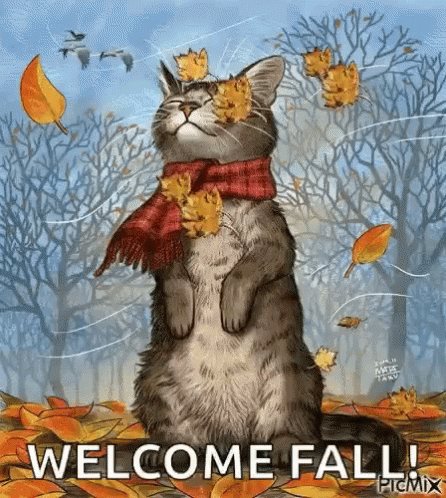 Fall Season Welcome Fall GIF - Fall Season Welcome Fall Cat GIFs