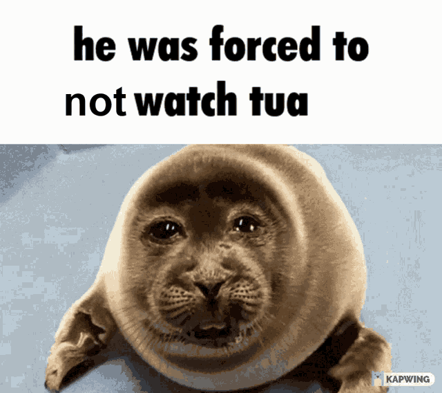 a picture of a seal with a caption that says he was forced to not watch tua