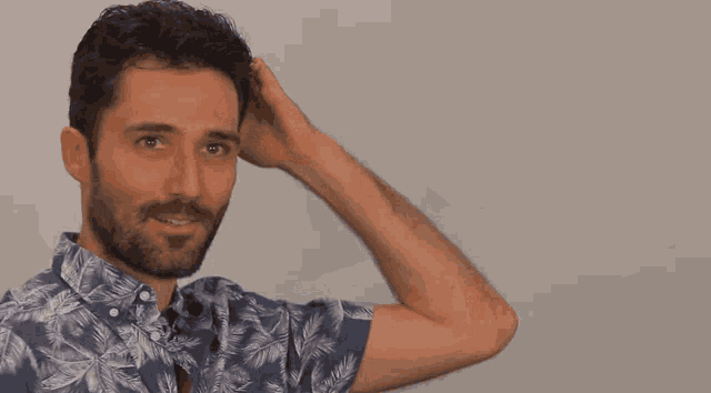 a man with a beard wears a blue and white shirt