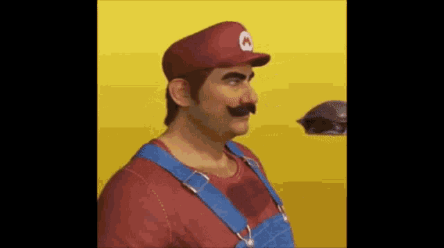 Mario Shell GIF - Mario Shell Face GIFs