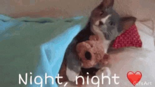 a cat is laying on a bed holding a stuffed animal and a pillow .