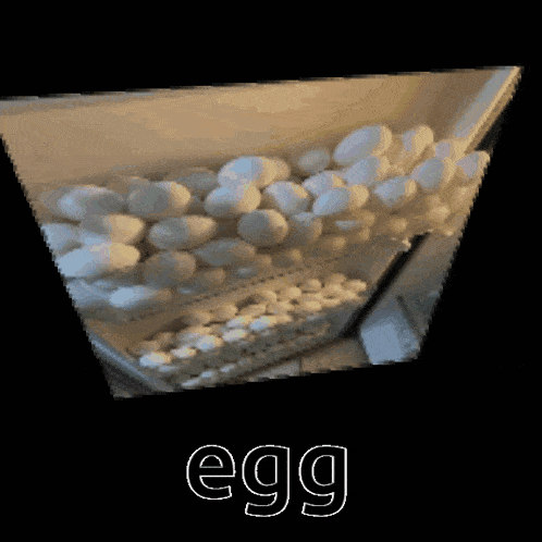 a bunch of eggs are sitting on a table and the word egg is on the bottom right