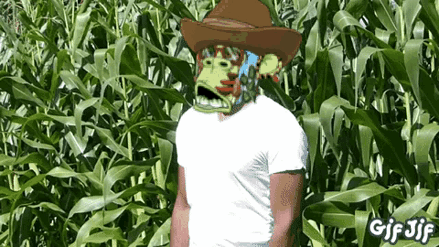 a gif of a man wearing a cowboy hat standing in a cornfield
