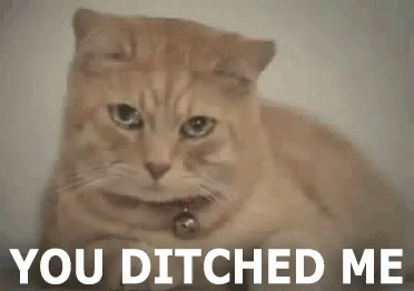 You Ditched Me GIF - You Ditched Me GIFs