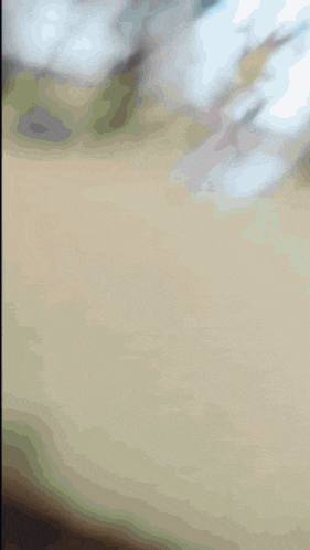 a blurry picture of a person riding a bike in a park