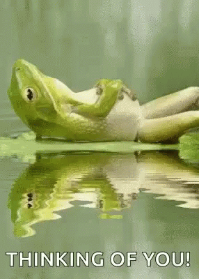 Frog Chill GIF - Frog Chill Thinking Of You GIFs