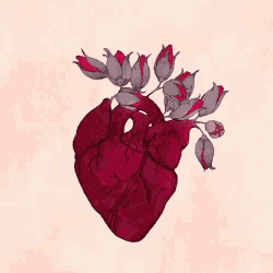 a drawing of a heart with roses coming out of it .