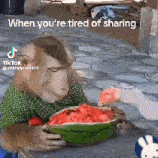 a monkey is eating a slice of watermelon with a goose .