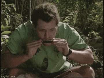 a man in a green shirt is playing a harmonica while sitting on the ground in the woods .