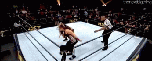 Sasha Banks Punches GIF - Sasha Banks Punches Tamina Snuka GIFs