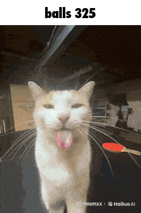a cat with its tongue hanging out and the words balls 325 behind it