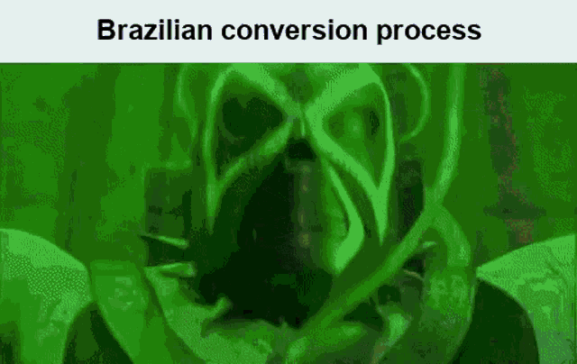 a brazilian conversion process is being explained by a cartoon character in a green background .