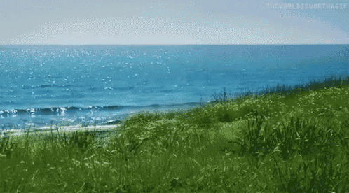 a grassy hillside overlooking a body of water with the words " the world is worth a gif " at the top