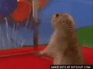 a close up of a prairie dog 's face with the words make gifs at gifsoup.com below it