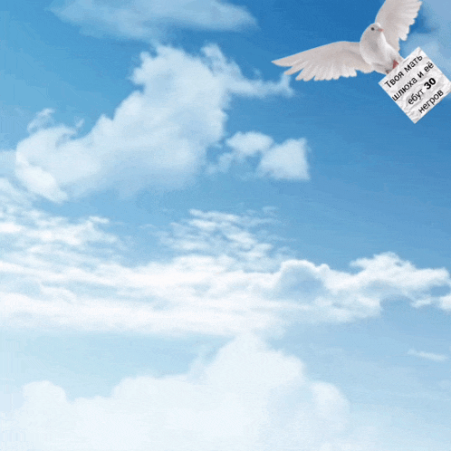 a white dove is flying through a cloudy sky with a sign that says " твоя мама "