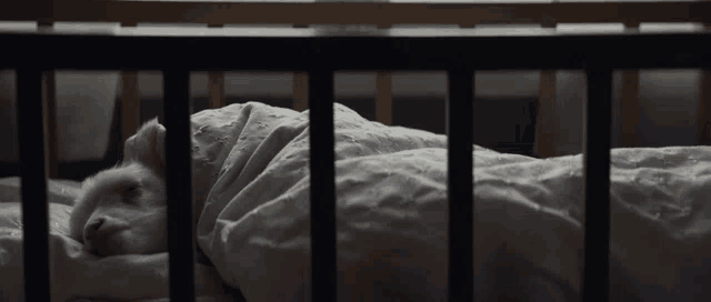 a dog is laying in a crib with white sheets