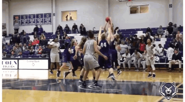 a basketball game is being played in front of a sign that says ' coin tigers '