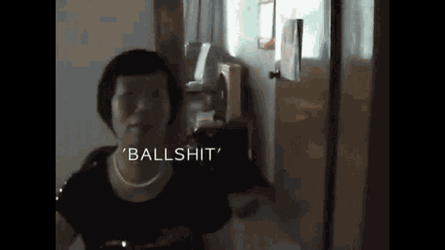 Ballshit Bullshit GIF