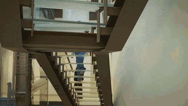 a person walking down a staircase with a blue shirt on
