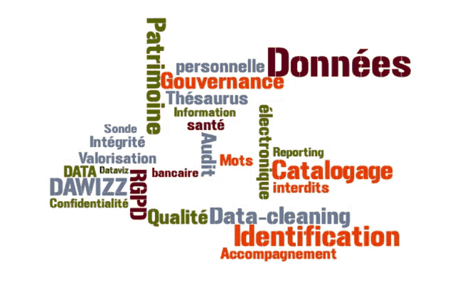 a word cloud with the word données in the center