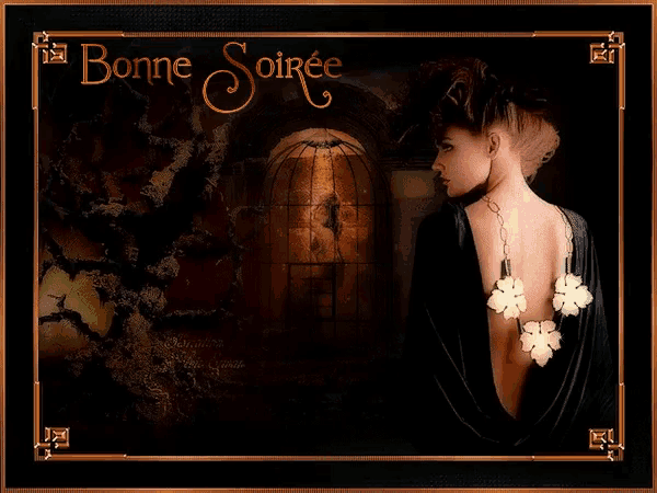 a picture of a woman with the words " bonne soiree " above her