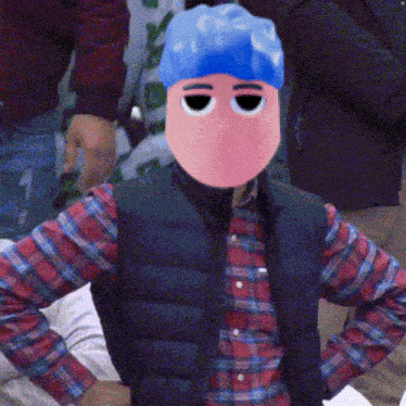 a person wearing a plaid shirt and a blue vest has a pink face on their head