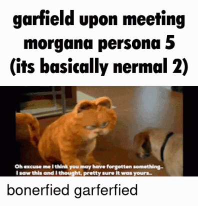 garfield upon meeting morgana persona 5 ( its basically normal 2 ) oh excuse me i think you may have forgotten something