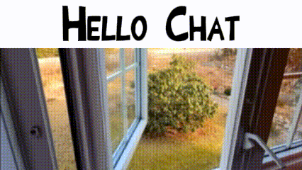 a picture of a window with the words hello chat written above it