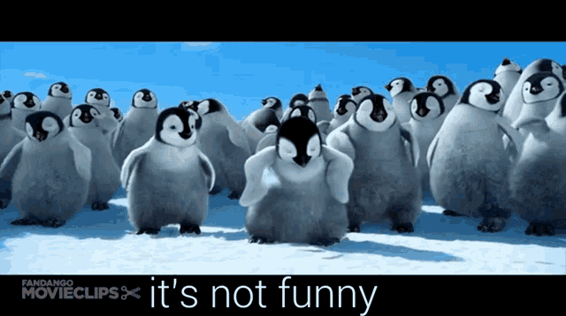 a bunch of penguins standing in the snow with the words " it 's not funny "