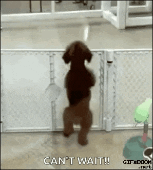 a dog is standing on its hind legs in front of a fence and a sign that says `` can 't wait '' .