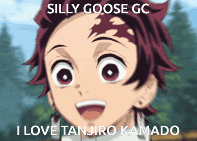 silly goose gc i love tanjiro kamado written on a picture of a boy