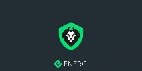 a green shield with a lion and the word energi underneath it