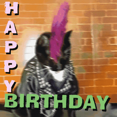 a birthday card with a cat wearing a pink mohawk and the words happy birthday