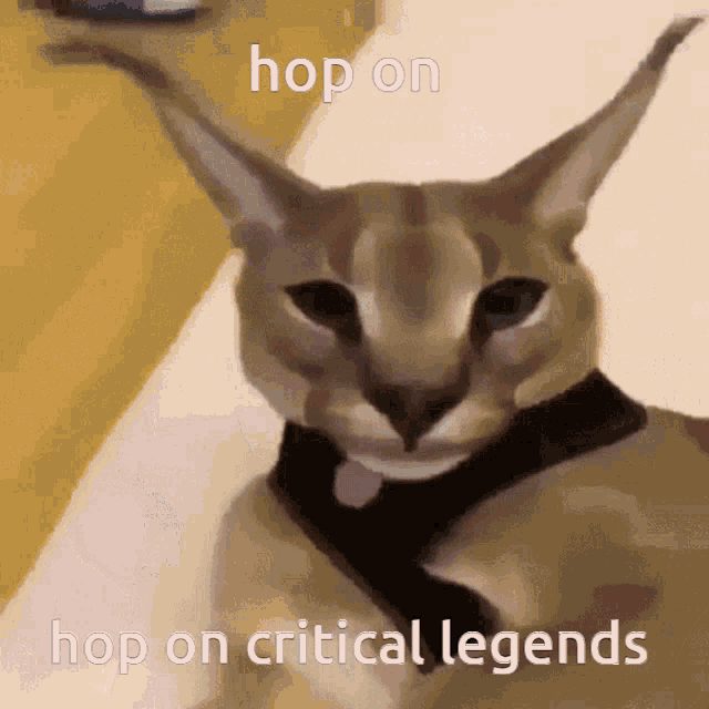 Hop On Critical Legends GIF - Hop On Critical Legends Critical Legends Hop On GIFs