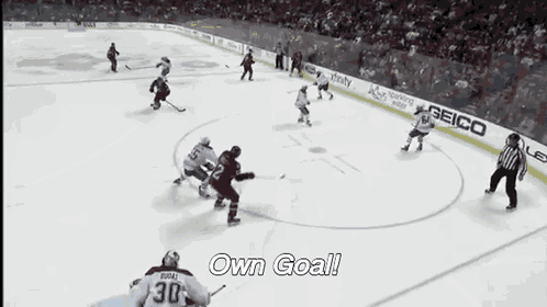 a hockey game is being played with the words own goal on the bottom right