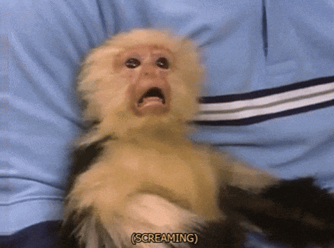a monkey with its mouth open is screaming while sitting on a person 's lap